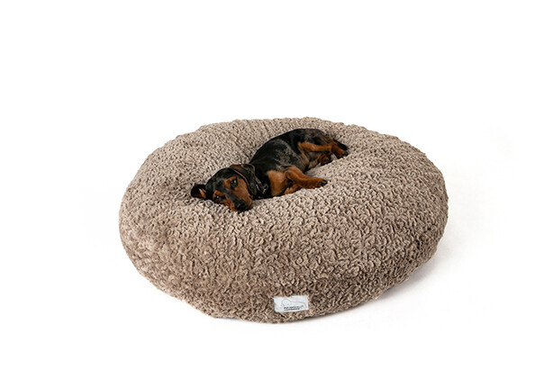 Ein beiges Hundebett der Serie PULMACELL cosy von MEDI-TECH auf dem ein schwarz-brauner Hund vor weißem Hintergrund liegt.