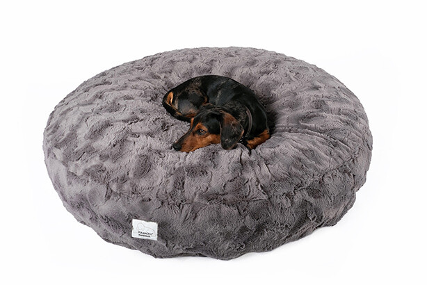 Ein graues Hundebett der Serie PULMACELL cosy von MEDI-TECH auf dem ein schwarz-brauner Hund vor weißem Hintergrund liegt.