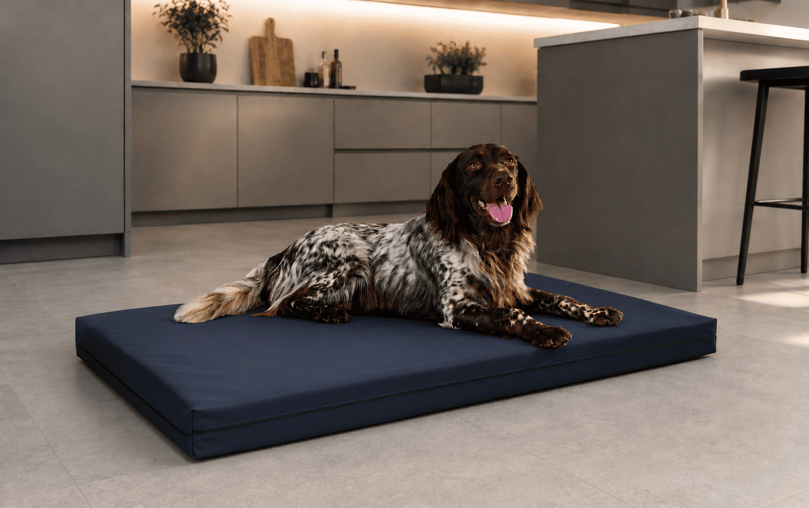 PULMACELL® safe Hundebett