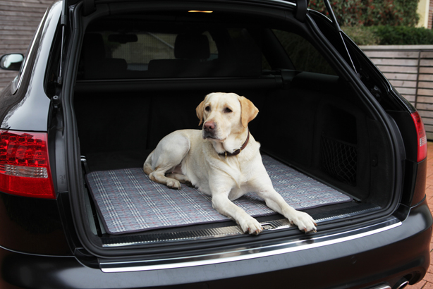 Eine karierte Hunde-Reisematte der Serie PULMACELL Touring von MEDI-TECH auf dem ein beiger Hund in einem Auto liegt.